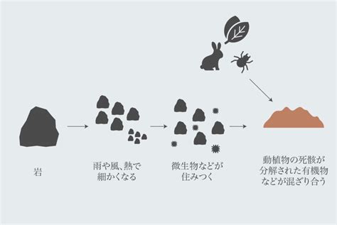 大土|大土とは？ わかりやすく解説